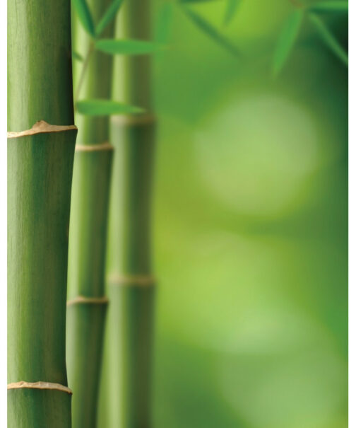 Hüsler Nest - Sur-matelas bambou / satin