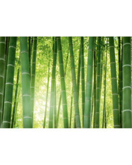 Sur-matelas en fibre de bambou – HÜSLER NEST