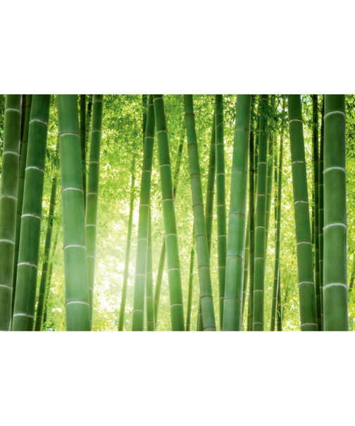 Hüsler Nest - Sur-matelas bambou / satin